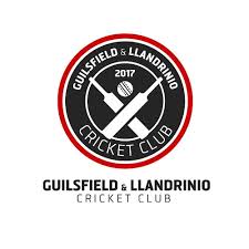 Image result for Ludlow & South Shropshire Cricket Club