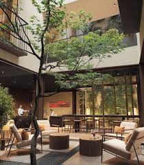 Image result for Eisenhut