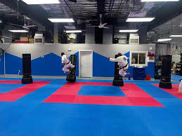 Image result for Valentin Karate