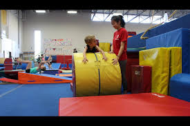 Image result for Phoenix Gymnastics
