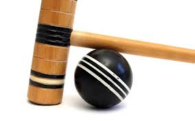 Image result for Framlingham Badminton Club