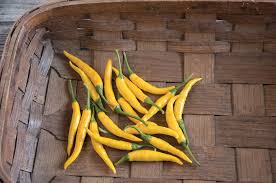 Afbeeldingsresultaat voor thai yellow hot pepper