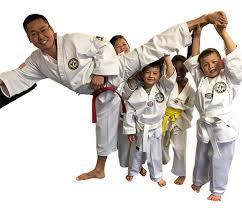 Image result for Taekwondo Witney