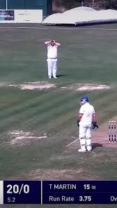 Image result for The Rayleigh Cricket Club