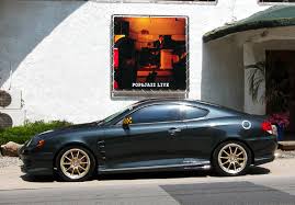 Image result for tuscani tibu...start=0