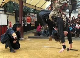 Image result for Hertfordshire Iga Ryu Ninjutsu