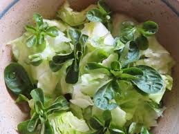 Image result for Feldsalat