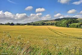 Image result for North Dorset