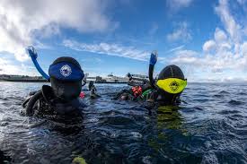 Image result for Seabug Divers