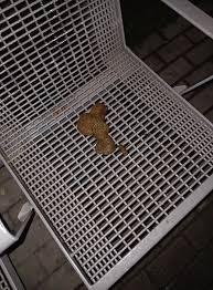 Image result for alpen bahnhof