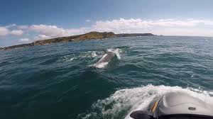 Image result for Jersey Sea Sport Centre - St Aubin, Jersey