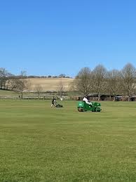 Image result for Sibton Park Cricket Club