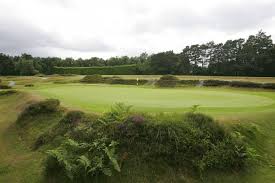 Image result for Hindhead Golf Club