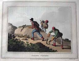 Image result for Shooting, Hunting, Fieldsports on Art prints from 1700's to 1900's