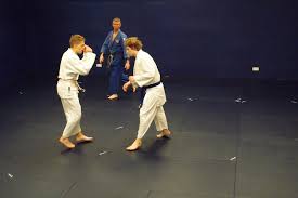 Image result for Southampton University Judo