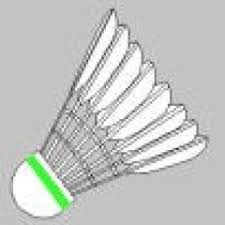 Image result for Christchurch (Dorset) Badminton Club