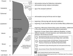 Attēlu rezultāti vaicājumam “Laserpitium pruthenicum”