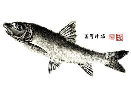 「魚拓」的圖片搜尋結果
