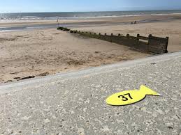 Image result for Blackpool Boat Angling Club
