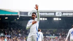 Image result for Leeds juniors afc