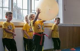 Image result for leicester dragons