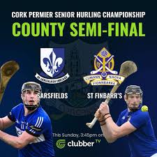 Image result for Sarsfields Hurling Club