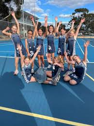 Image result for Henley Netball Club