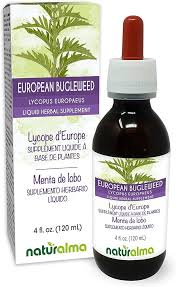 Attēlu rezultāti vaicājumam “Lycopus europaeus”