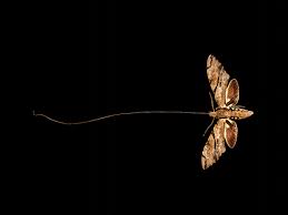 Image result for hawk moth