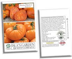 Afbeeldingsresultaat voor amana orange beefsteak tomato