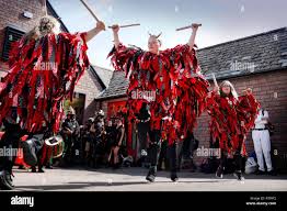 Image result for Southampton Stags