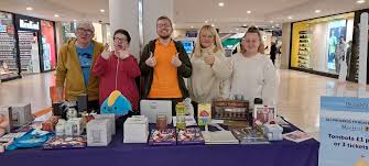 Image result for Blackpool Tiggers