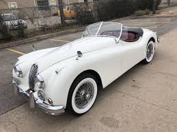 Image result for Old English White 1955 Jaguar