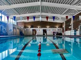Image result for Ledbury & District Amateur Swimming Club