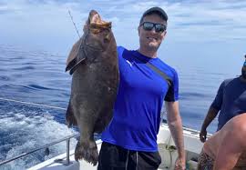 Image result for Mycteroperca interstitialis