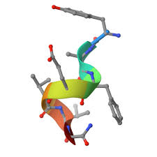 Image result for b%FD%E7ak anatomisi