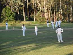 Image result for St Ives Cricket Club