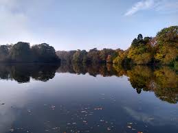 Image result for Reigate & District Angling Association