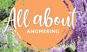 Image result for Angmering Stoolball Club