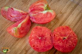 Afbeeldingsresultaat voor erdie family oxheart tomato