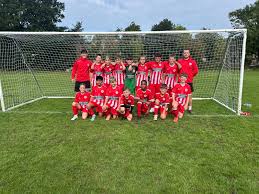 Image result for Redhill Girls Football Club