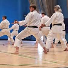 Image result for Thames Valley Shotokan Karate