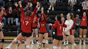 Image result for Calne Volleyball Club