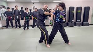 Image result for Chat Ying Kuen Kung Fu Club