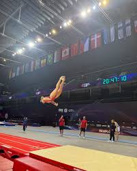 Image result for Spelthorne School Of Gymnastics