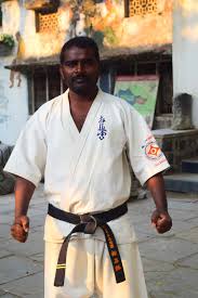 Image result for Kyokushin Karate