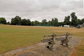 Image result for Saffron Walden Cricket Club