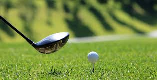 Image result for Downshire Golf Complex