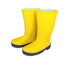 Image result for Gumboots
