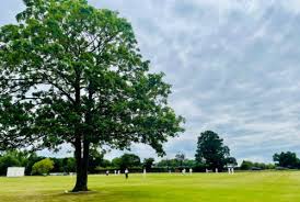 Image result for Essex Stragglers